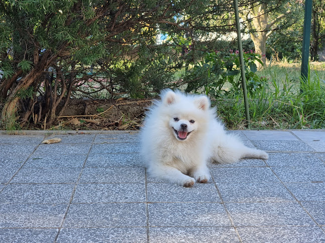 Primorska ul., 51250, Novi Vinodolski, Hrvatska