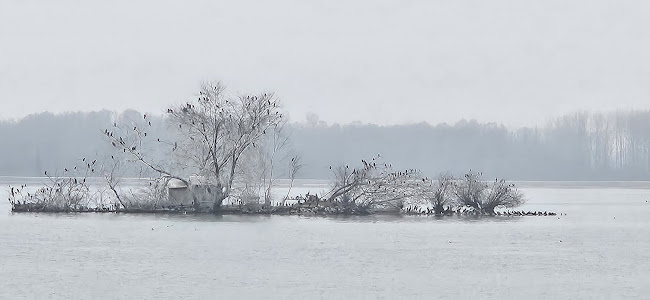 Caffe bar & bistro Marina