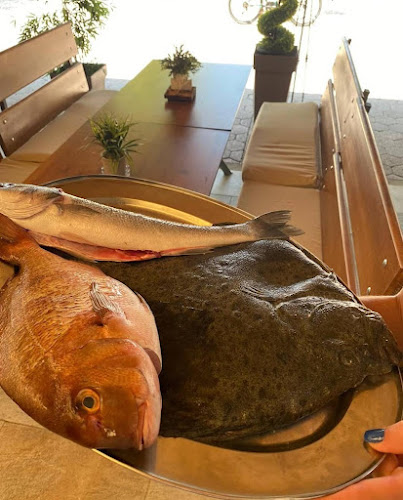 Šetalište Dr. Franje Tuđmana 3a, 21300, Makarska