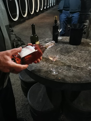 Opinii despre KUTJEVO d.d. Restoran Kutjevački Podrum în Kutjevo - Gastronomija i ugostiteljstvo