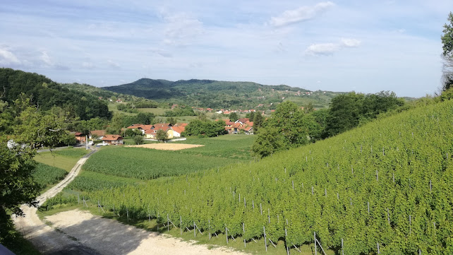 Izletište - Gastronomija i ugostiteljstvo