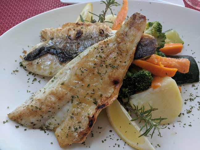 Restoran Vita Bella - Gastronomija i ugostiteljstvo