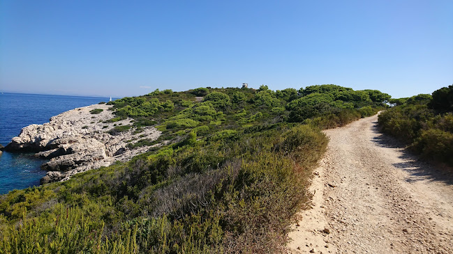Konoba Vis - Gastronomija i ugostiteljstvo