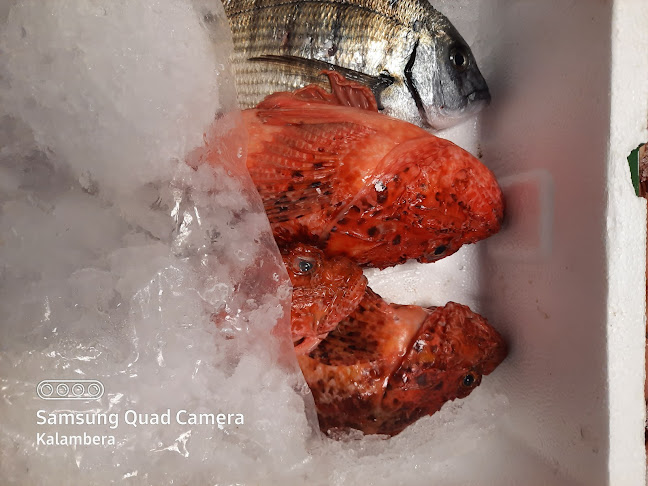 Peskarija Kalambera - Vis