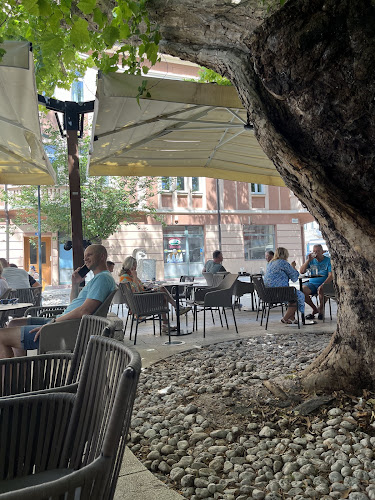 Comentarii opinii despre Kavana Toš