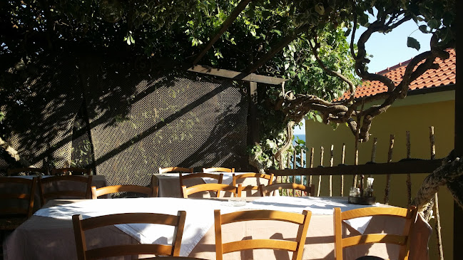 Comentarii opinii despre Konoba Gec