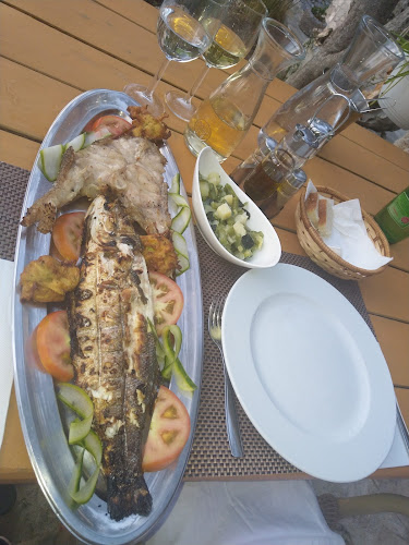 Comentarii opinii despre Pagar