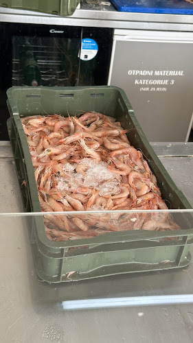 Gastro Ribarnica Calamaretto