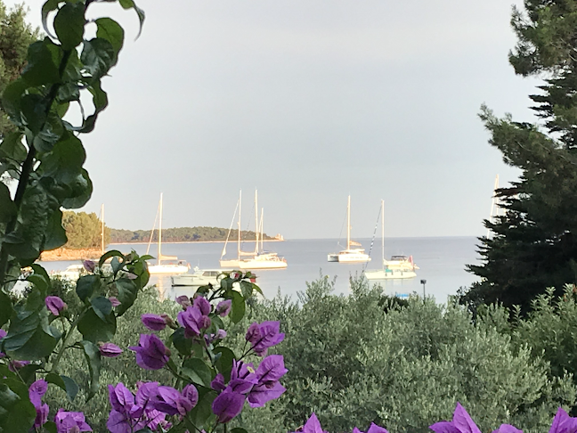 Restaurant Artatore “Janja” - Gastronomija i ugostiteljstvo