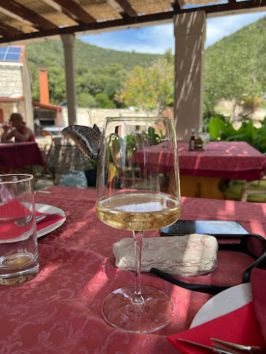 Comentarii opinii despre Restaurant Estravaganca (rooms and restaurant)