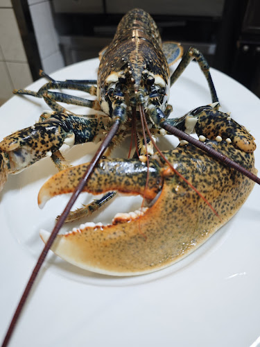 Stjepana Radića 4, 23250, Pag