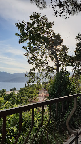 Comentarii opinii despre Viva Caffe Do Brasil