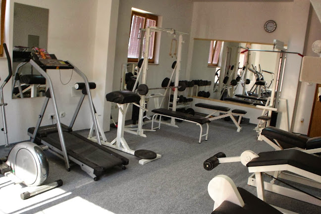 Zlatna ribica - Gastronomija i ugostiteljstvo