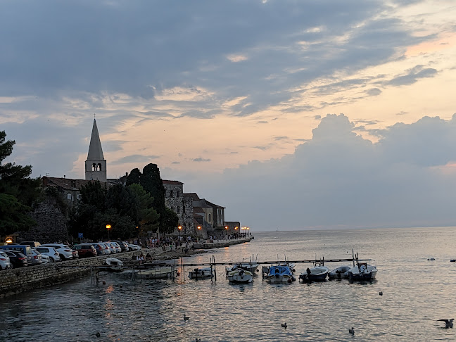 Splash Beach Bar - Gastronomija i ugostiteljstvo