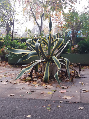 Caffe bar Regata - Gastronomija i ugostiteljstvo