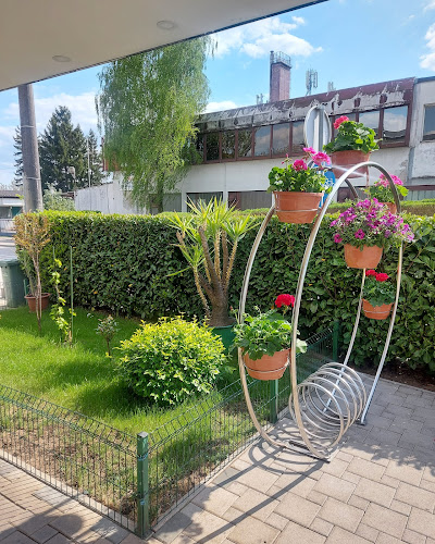 Comentarii opinii despre Pekarnica Noć i Dan