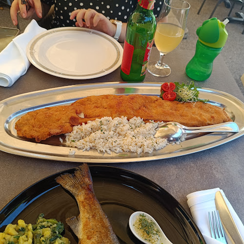 Restoran Vilinske jame - Gastronomija i ugostiteljstvo