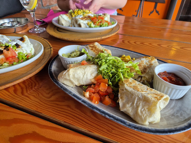 Mex Cantina - Gastronomija i ugostiteljstvo