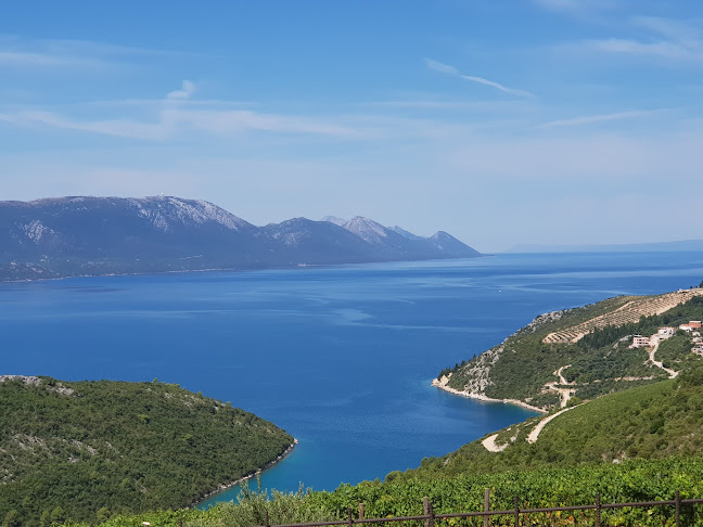 Comentarii opinii despre Zona