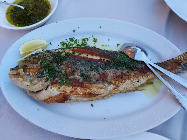 Opinii despre Bussola ACI Marina Ičići în Ičići - Gastronomija i ugostiteljstvo