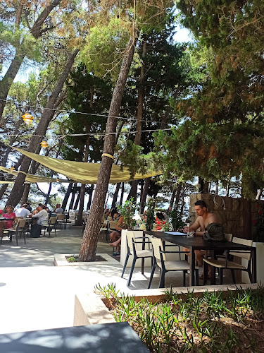 Beach bar "Pink Cricket" - Gastronomija i ugostiteljstvo