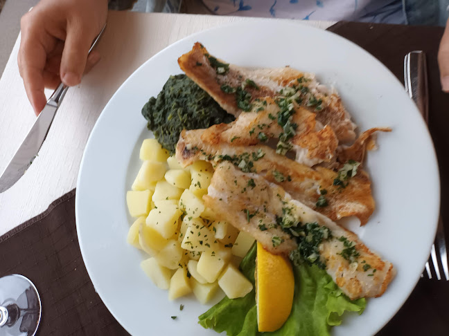 Gostiona Kopar - Gastronomija i ugostiteljstvo