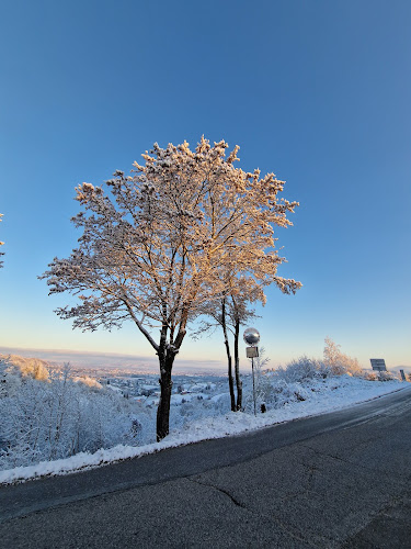 Opinii despre Izletište Milečki în Molvice - Gastronomija i ugostiteljstvo