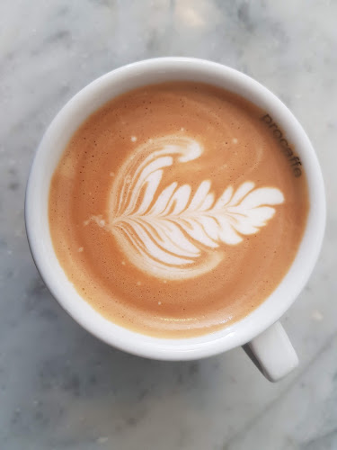 Caffe Bar "Van" Dubrovnik - Gastronomija i ugostiteljstvo