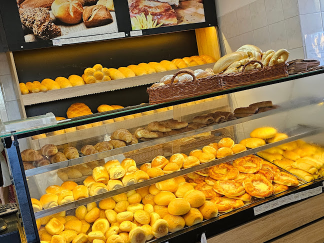 Comentarii opinii despre MARJAN OBRT