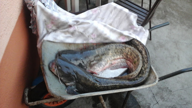 Comentarii opinii despre Caffe bar "Come Back"