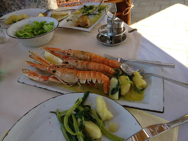 Broce 11, 20230, Broce