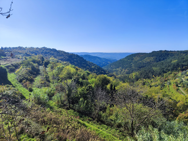 Konoba Oprtalj - Oprtalj