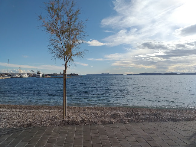 Beach Bar Kantunić - Gastronomija i ugostiteljstvo