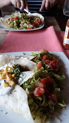 Mex Cantina - Gastronomija i ugostiteljstvo