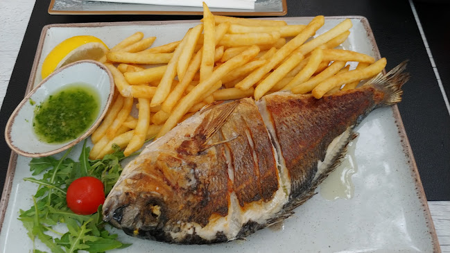 Zmaj Makarska - Makarska