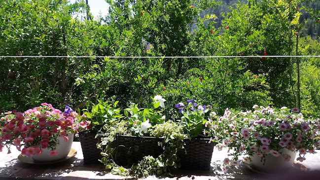 Krka Restaurant Bonaca - Gastronomija i ugostiteljstvo