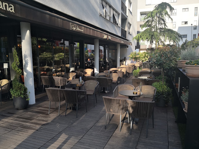 Caffe bar Maksimir Mimice