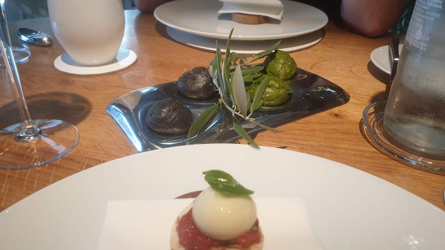 Comentarii opinii despre Monte