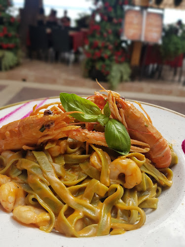 Comentarii opinii despre Matteo