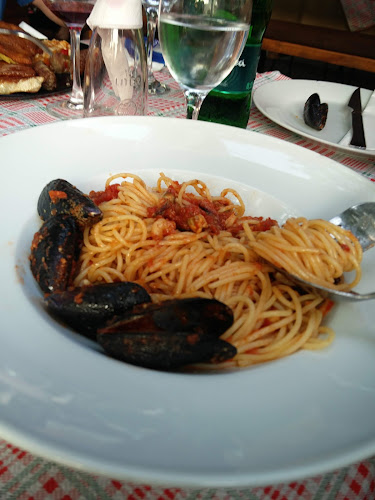 Comentarii opinii despre Kiwi