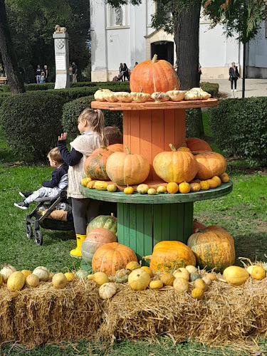 Comentarii opinii despre Ivanić Grad Tržnica Maznica