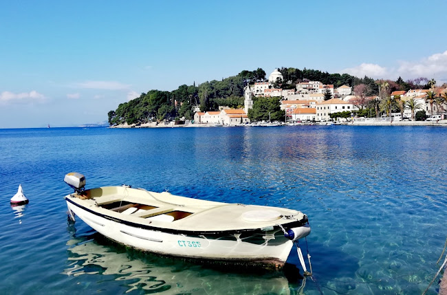 Caffe Bar Delfin - Gastronomija i ugostiteljstvo