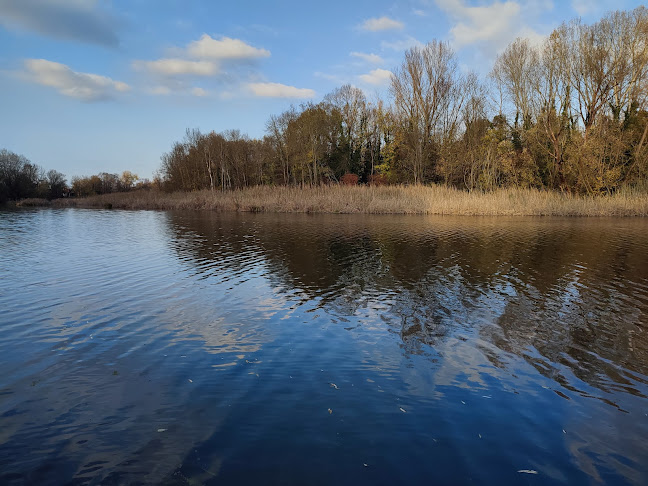 Ribička klet Rengel - Gastronomija i ugostiteljstvo