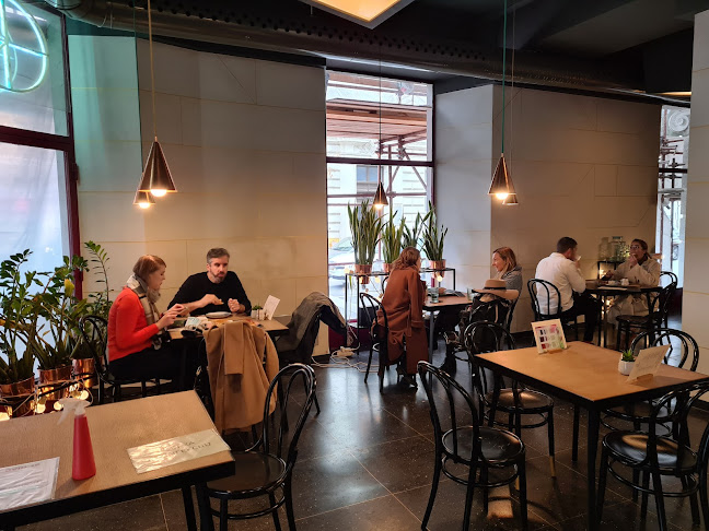 Comentarii opinii despre Korica