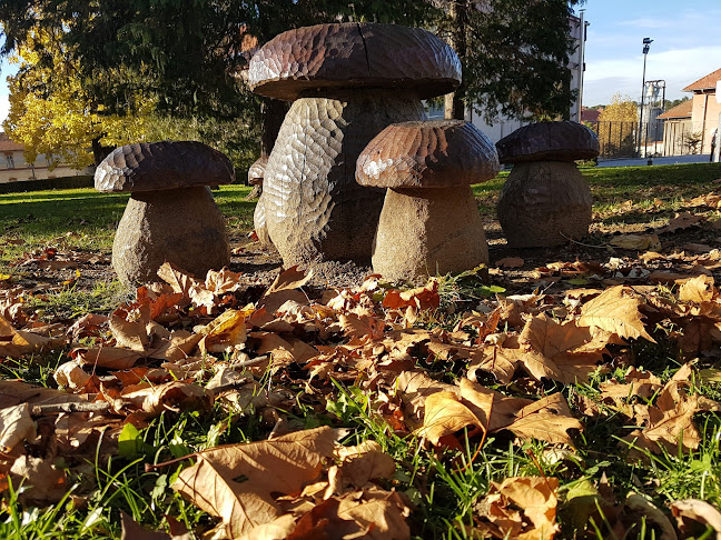 Ul. Hrvatskih Pavlina 7, 42250, Lepoglava