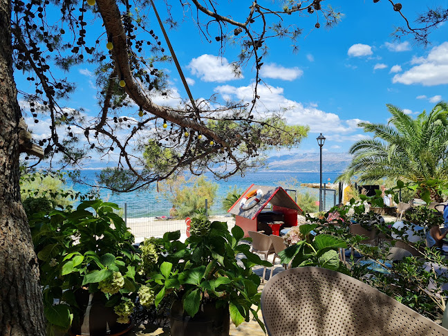 Fruit Land Cafe - Gastronomija i ugostiteljstvo