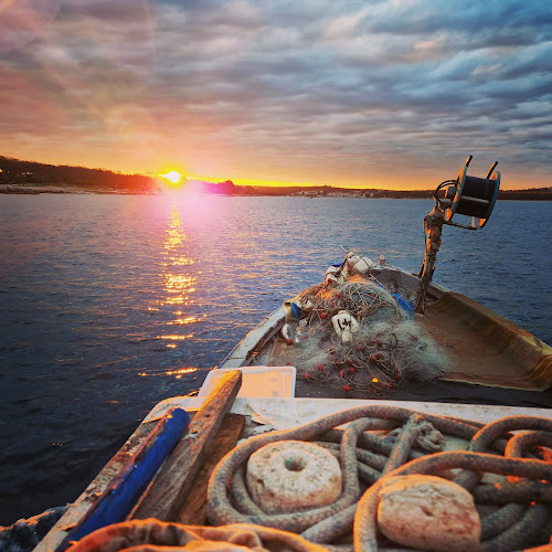 Comentarii opinii despre Ribarnica Tar