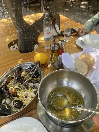Opinii despre Villa Rustica Vis în Vis - Gastronomija i ugostiteljstvo