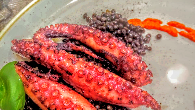 Opinii despre Amfora în Dubrovnik - Gastronomija i ugostiteljstvo