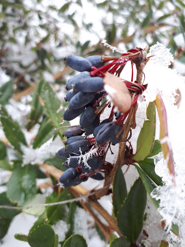 Planinarski dom Grafičar / Malo Sljeme d.o.o. - Gastronomija i ugostiteljstvo